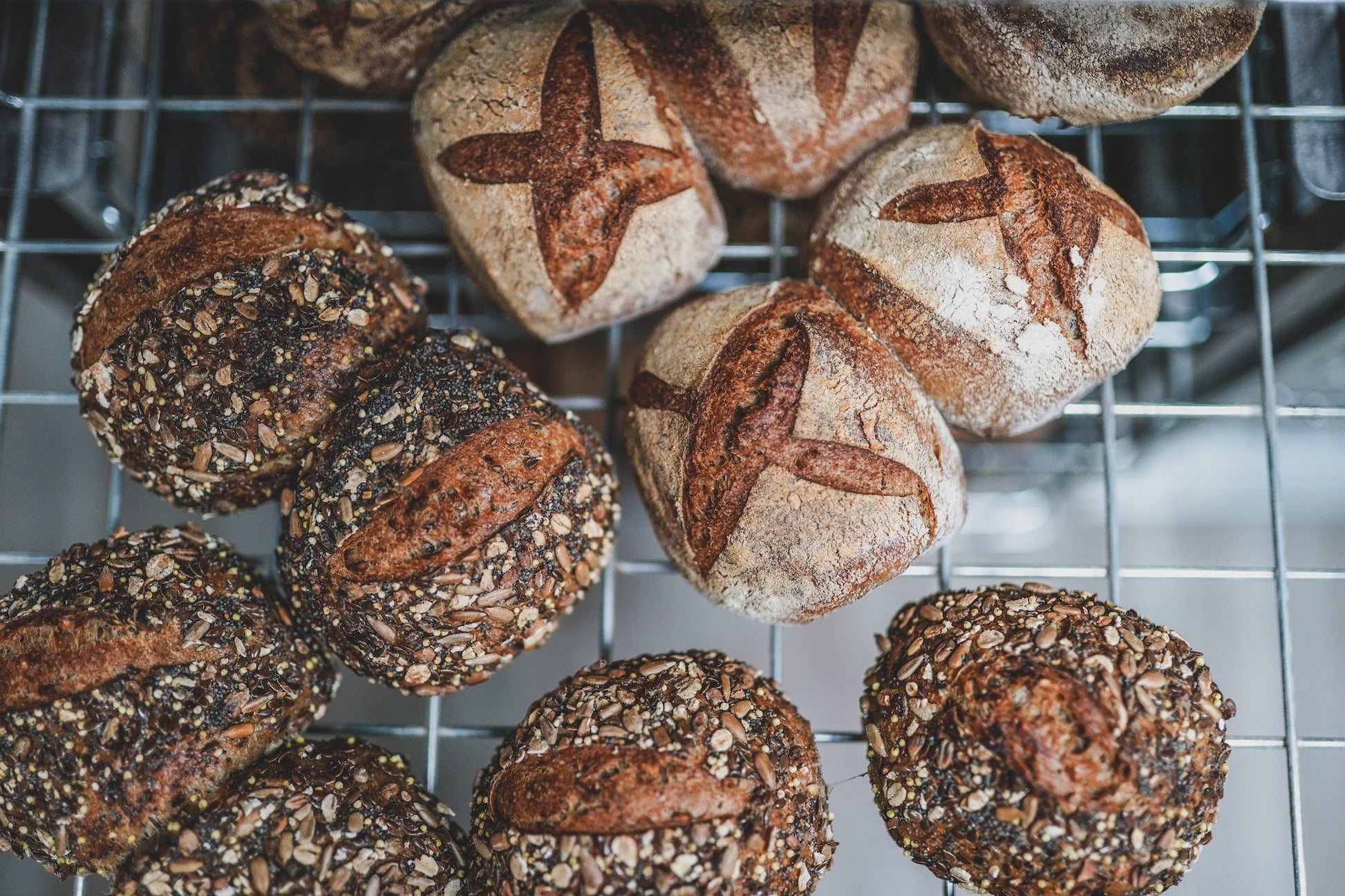Sourdough Rolls